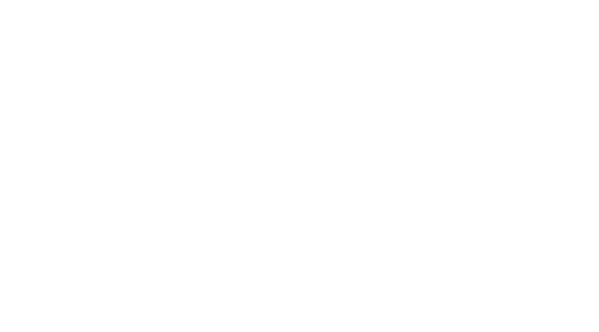 workwonder_logo_WHT